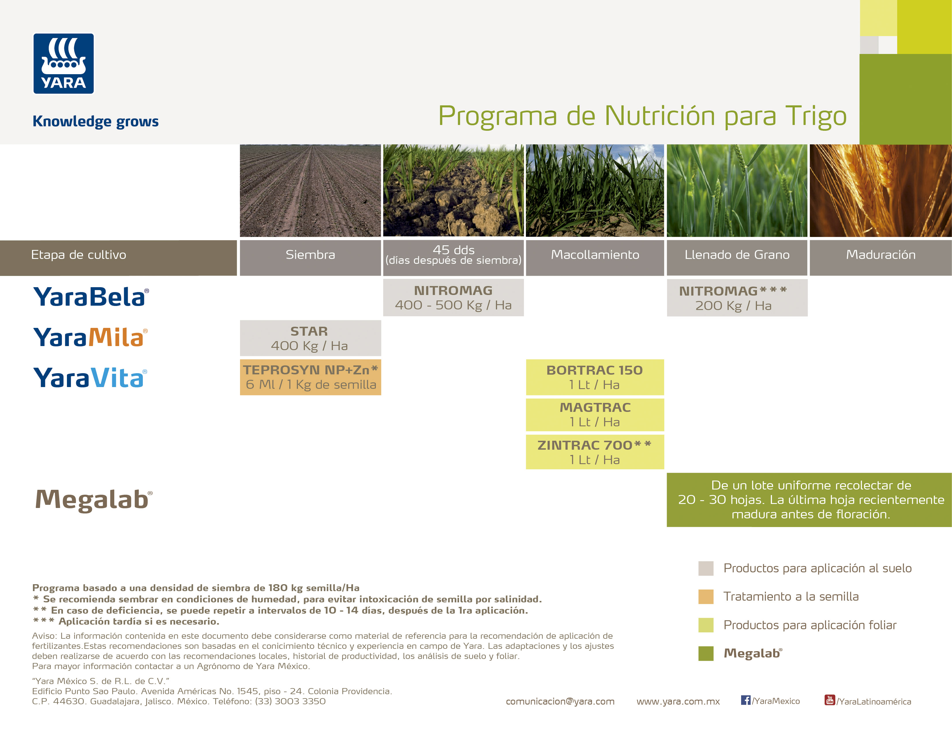 PN Nutrición Trigo - Bajío