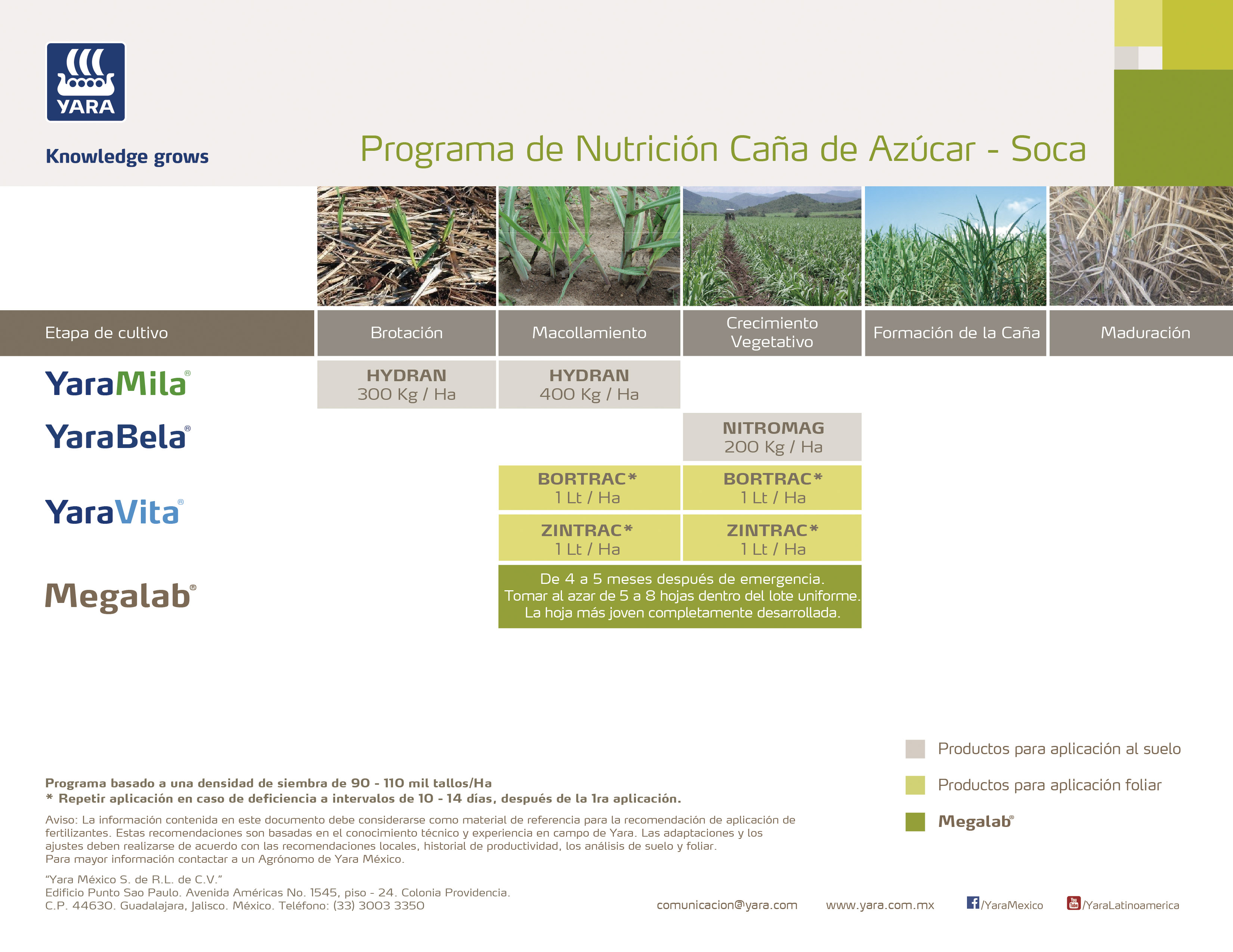 Programa Nutrición Caña de Azúcar Soca con Hydran
