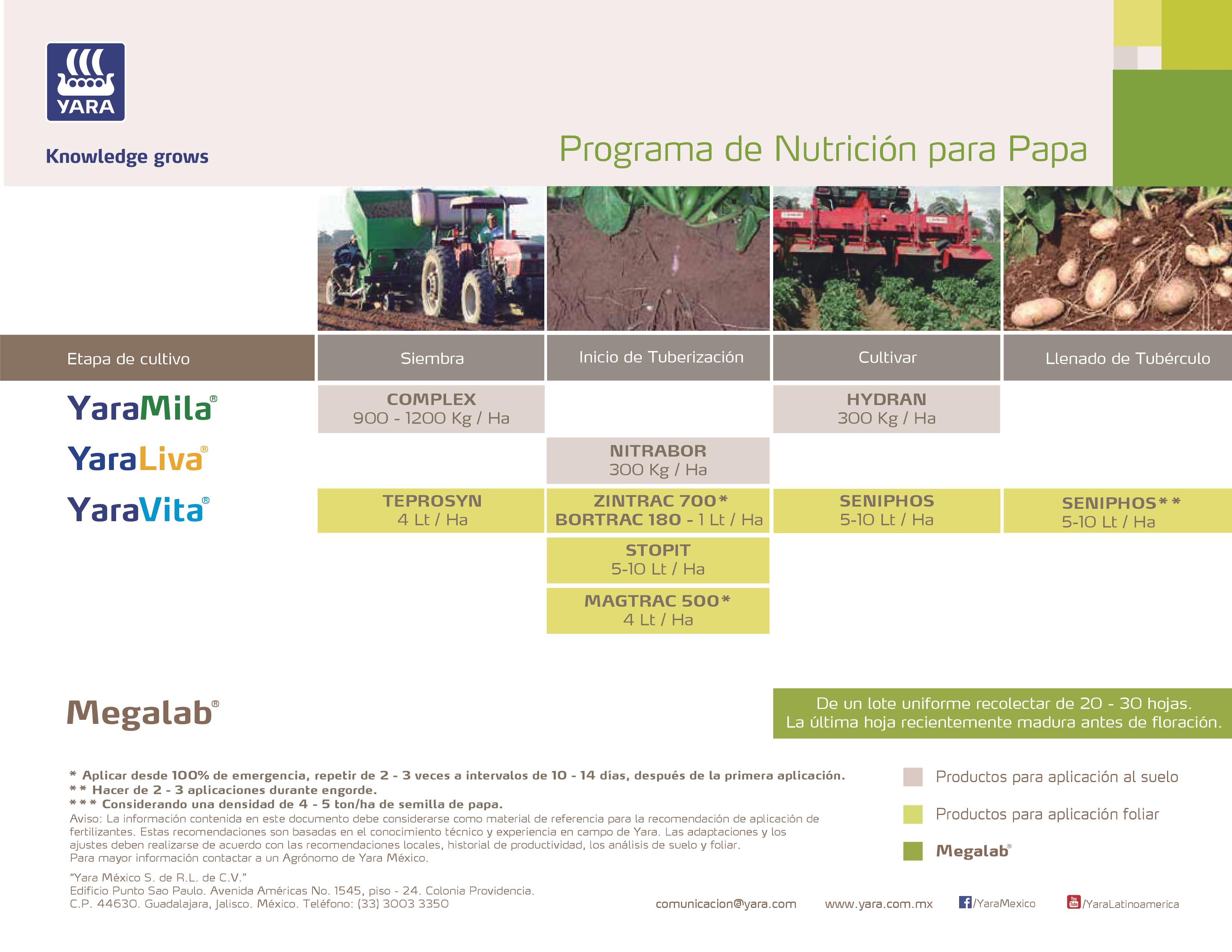 Programa de Nutrición Yara para Papa - Perote