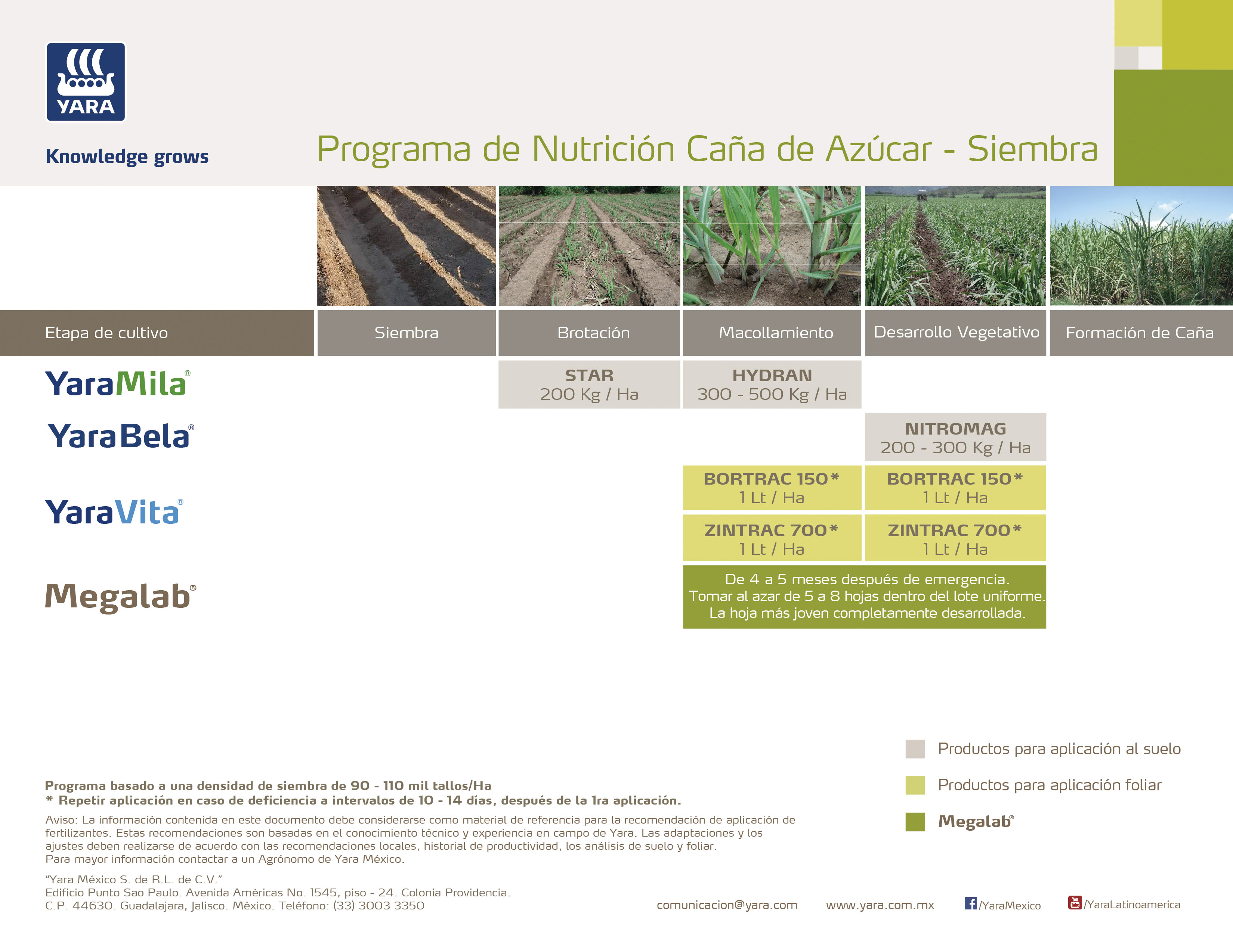 Programa de Nutrición para Caña de Azúcar Siembre con Hydran