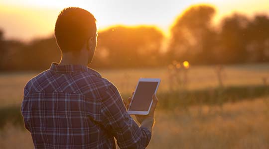 Términos y condiciones de uso de sitio web