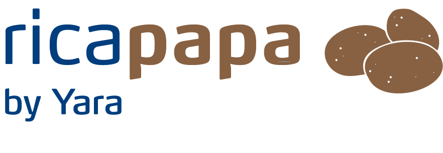 RicaPapa by Yara