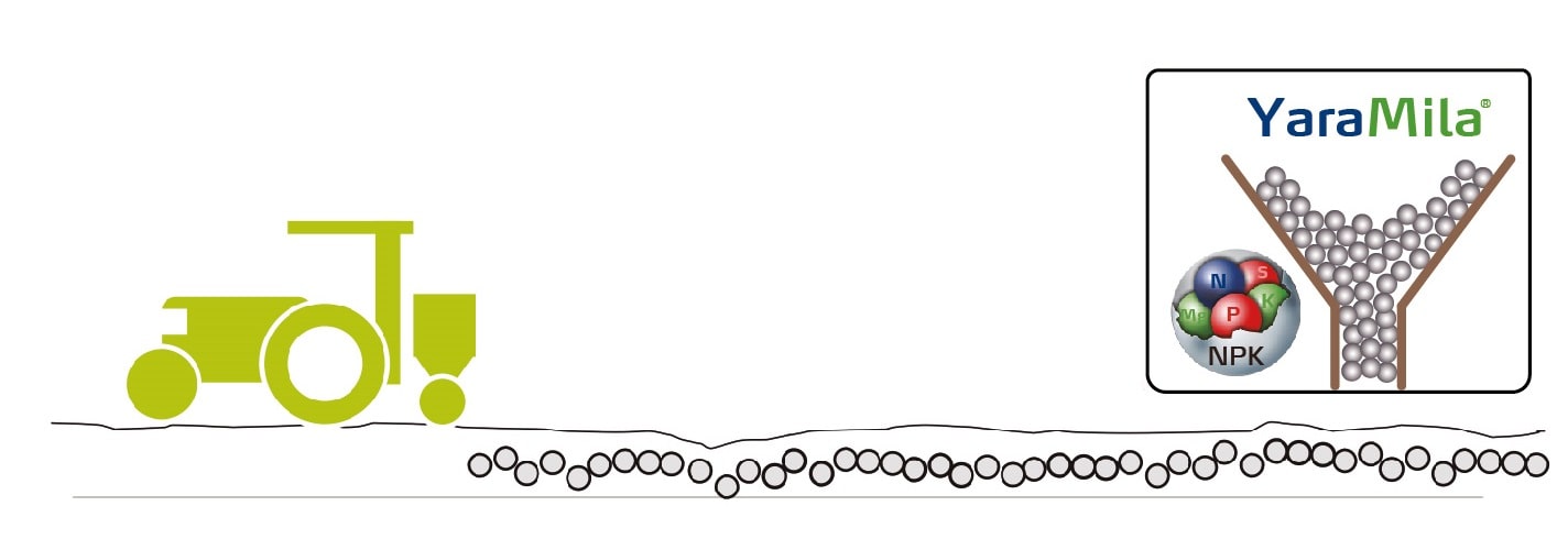 YaraMila complejos químicos,aplicación homogénea