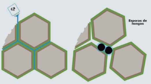 Paredes Celulares con YaraMila vs Sin YaraMila