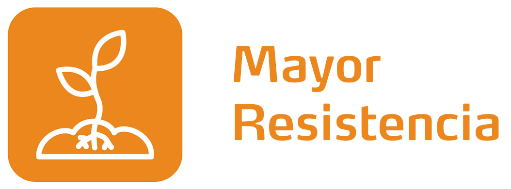 Mayor resistencia