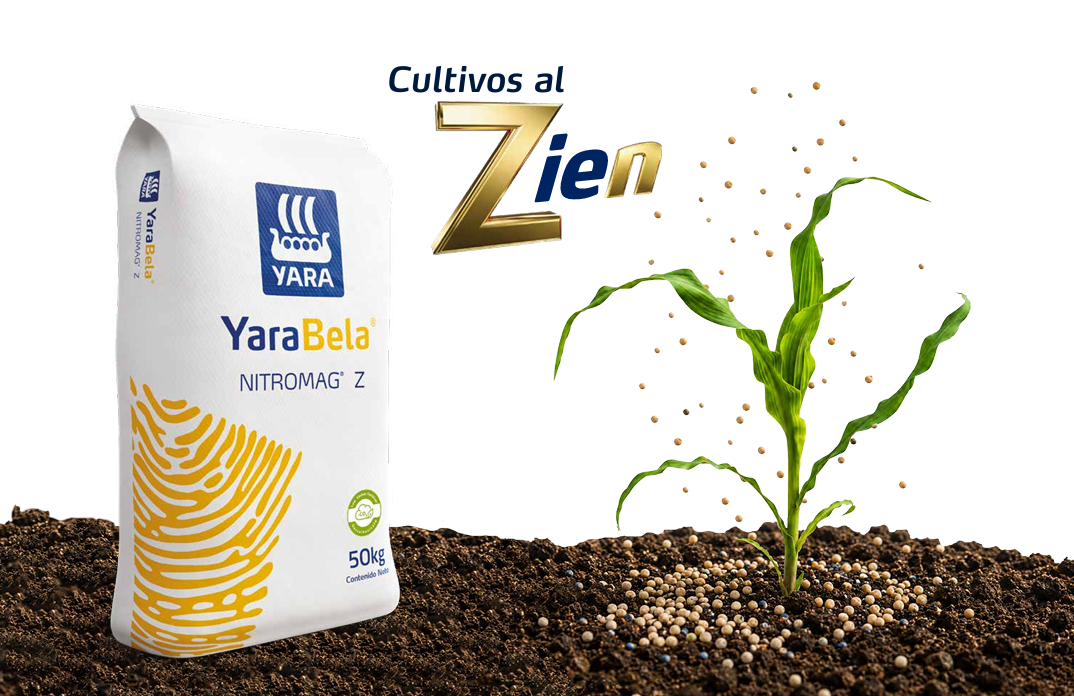 Cultivos al Zien partial view