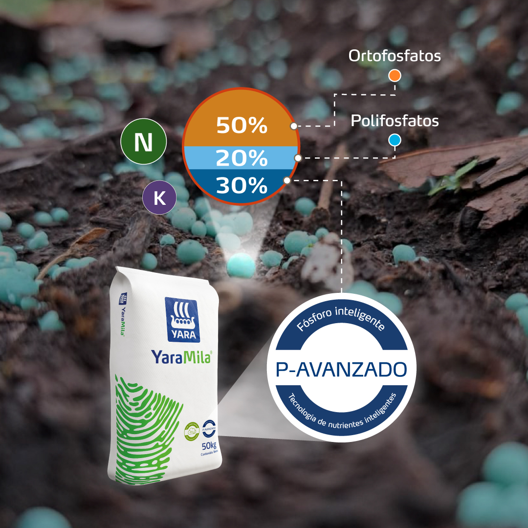 formas de fósforo en los YaraMila