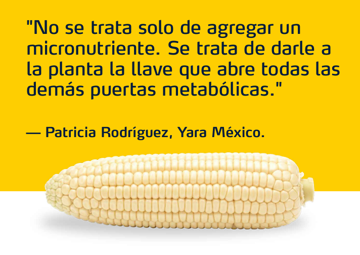 Cita de Patricia Rodr&iacute;guez