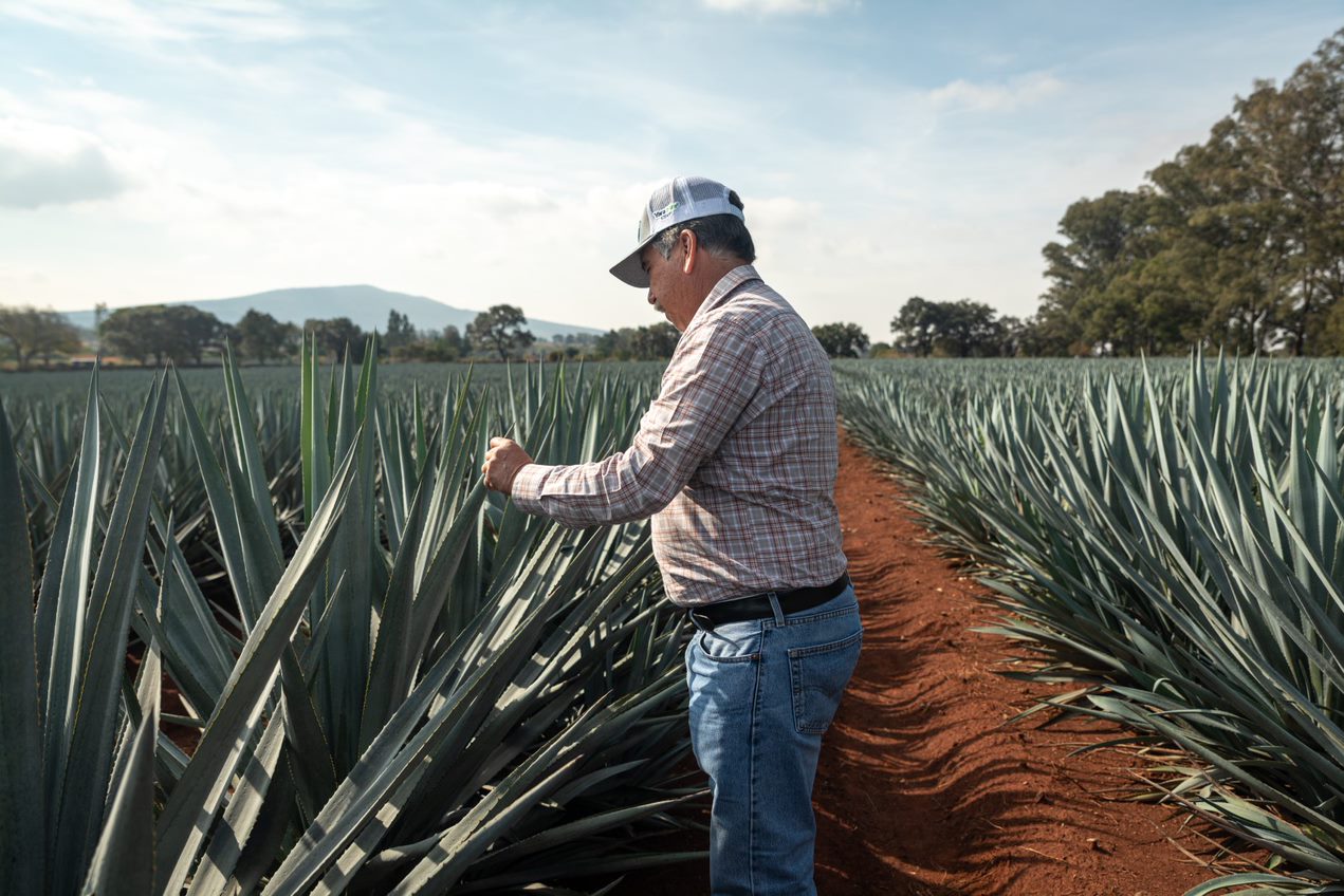 Conoce nuestras familias de productos