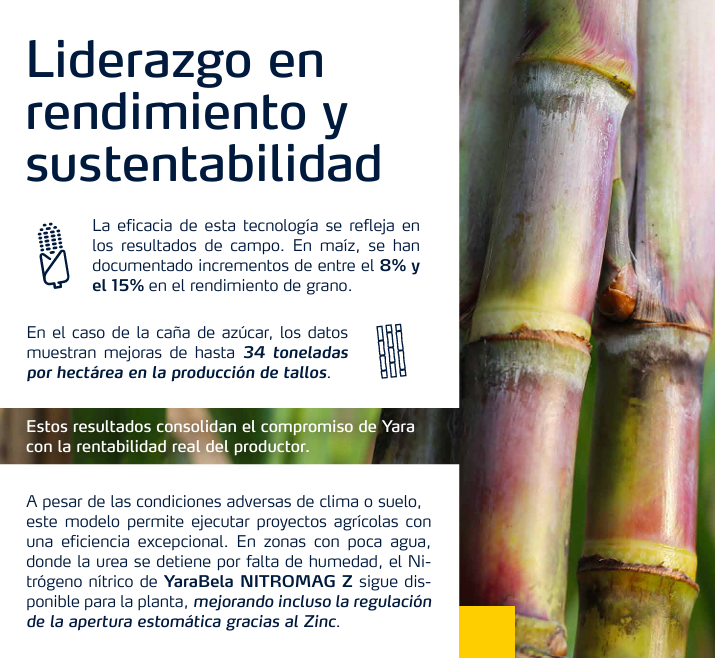 Liderazgo en rendimiento