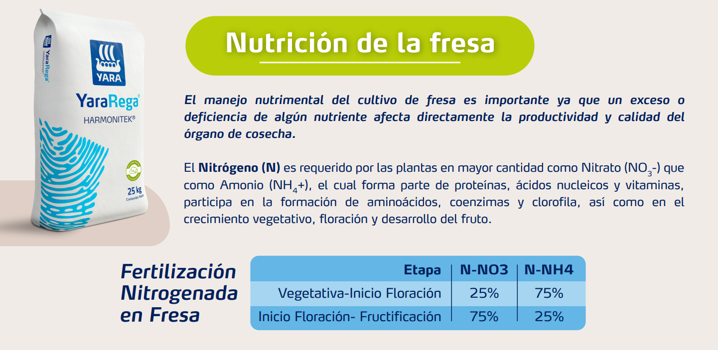 Nutrición e información en la fresa