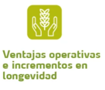 Conocimiento aplicado