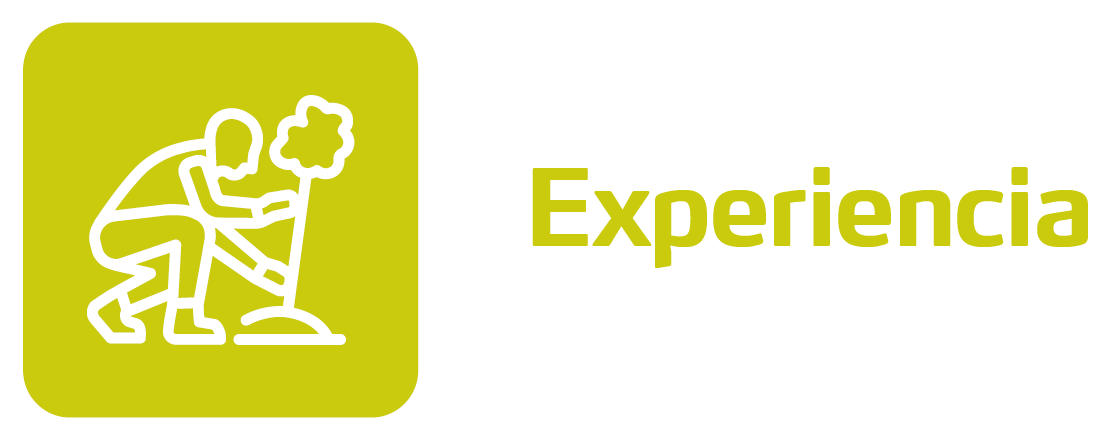 Experiencia