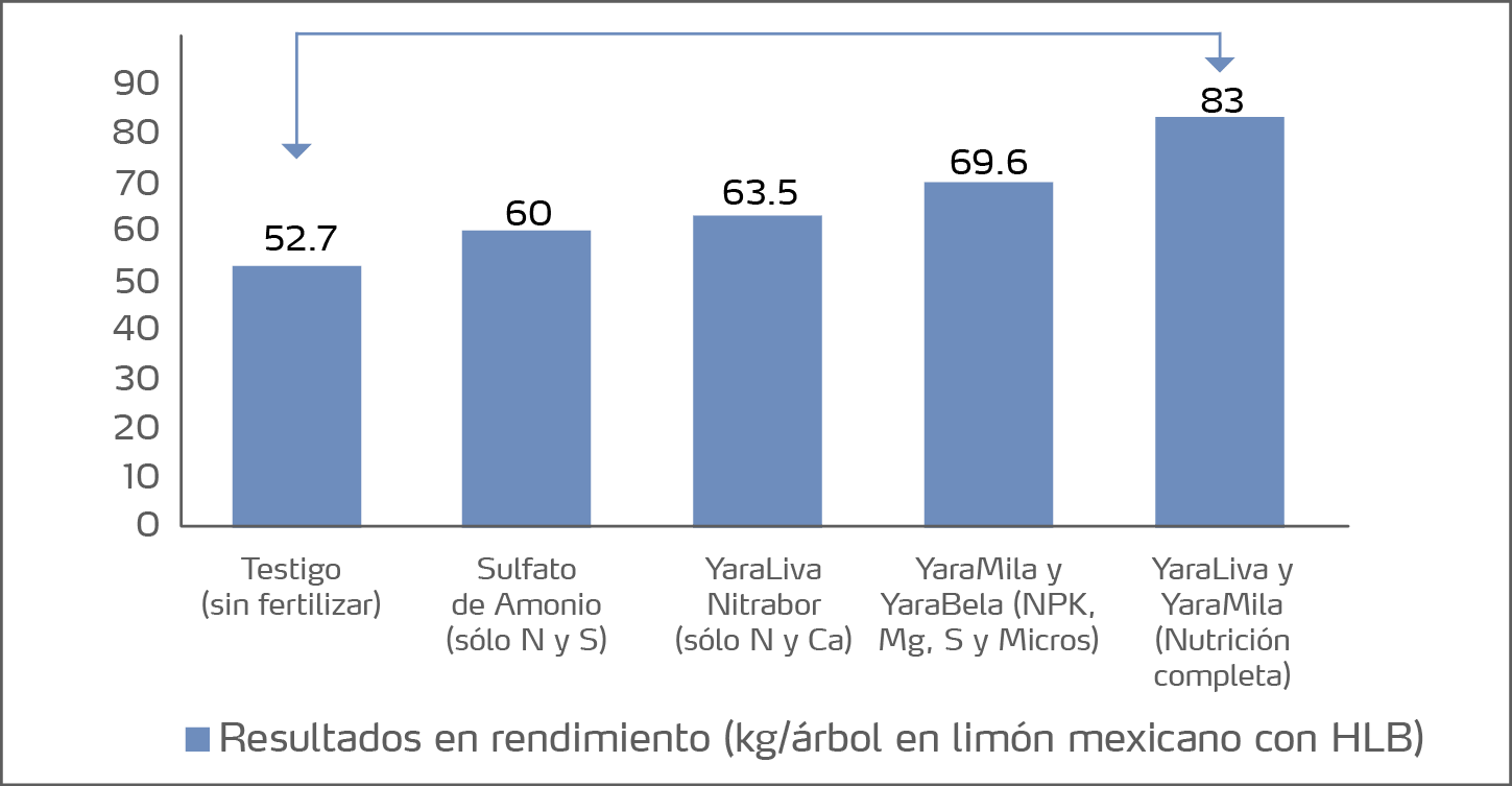 Gráfica  Rendimiento HLB 