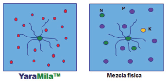 YaraMila Vs Mezcla Física