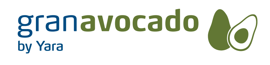 GranAvocado