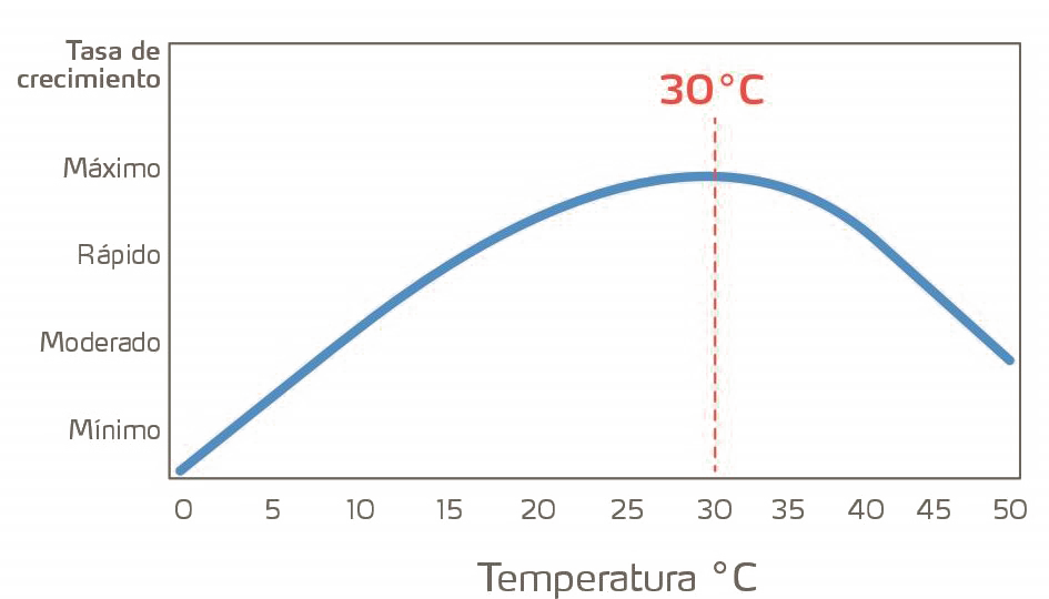 Gráfica que muestra la relación del índice de crecimiento con el grado de temperatura en la mayoría de las plantas