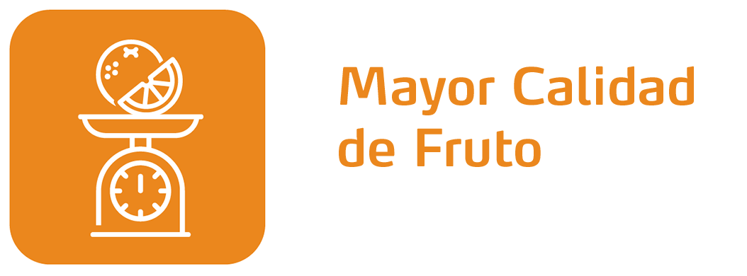 Mayor Calidad del Fruto