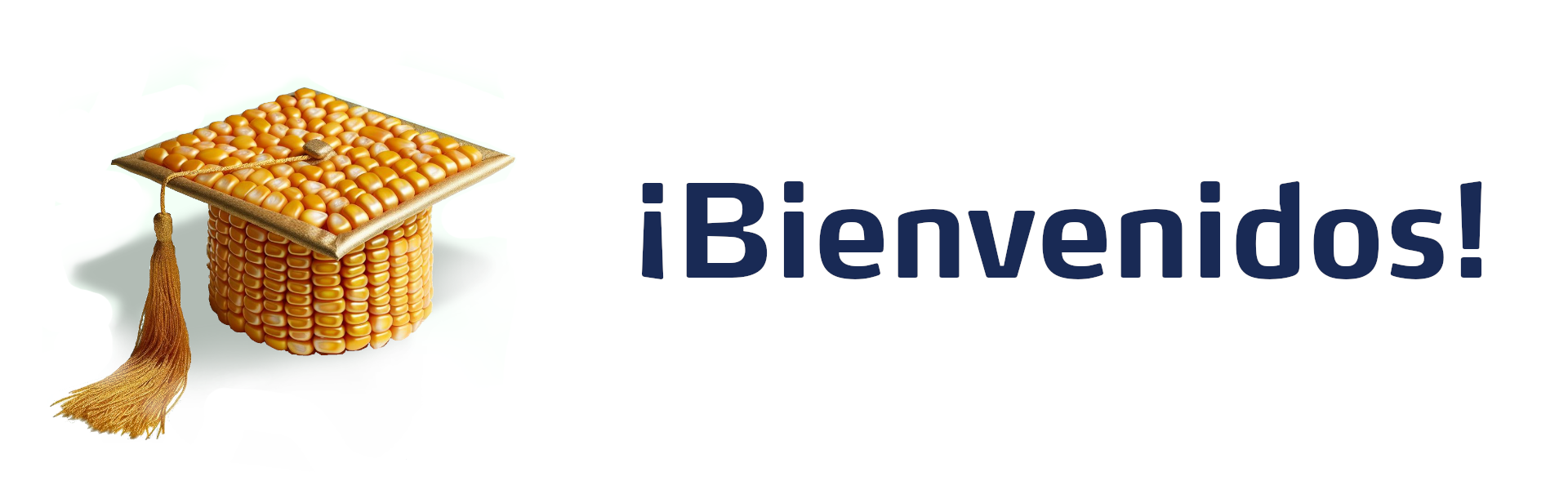 banner maíz