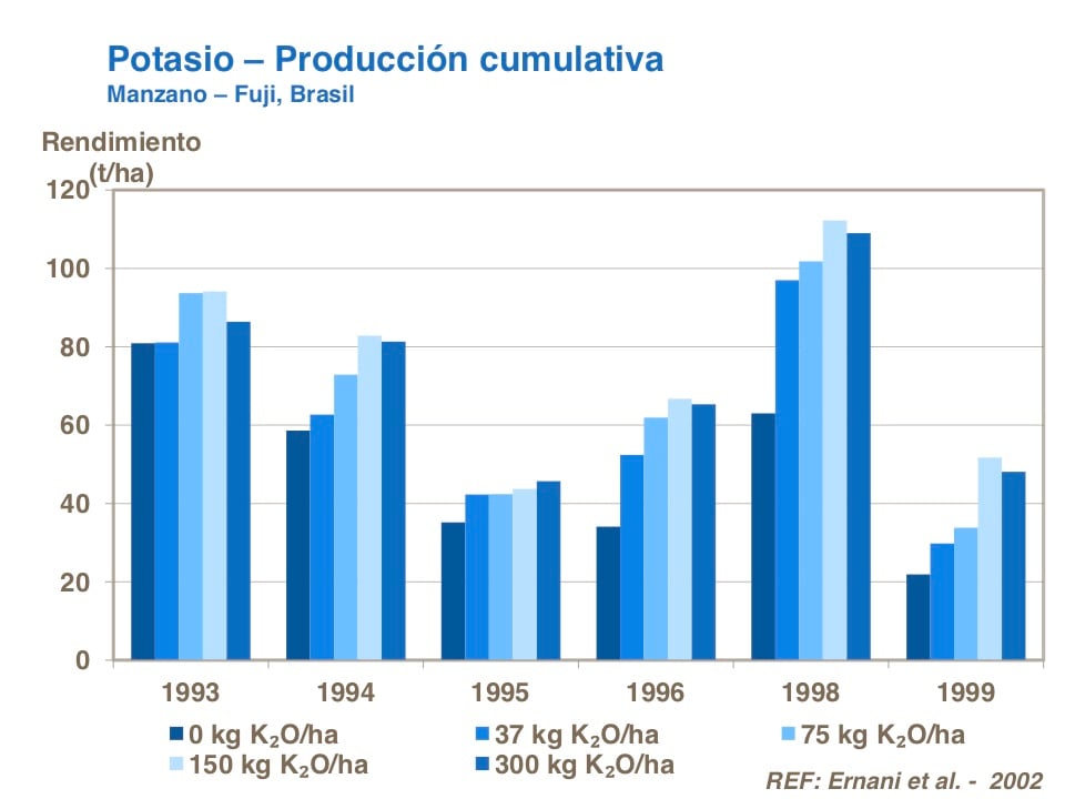 Potasio03