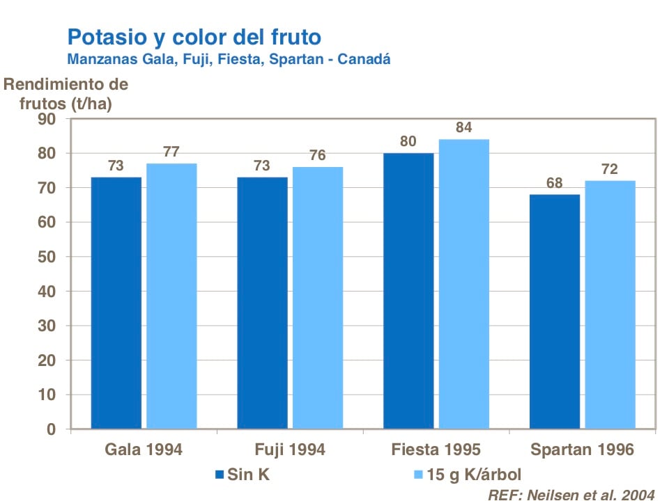 Potasio05