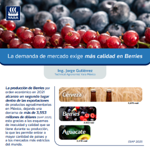 Fotos de Newsletters 