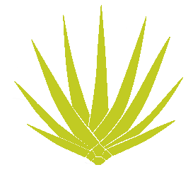 Icono agave