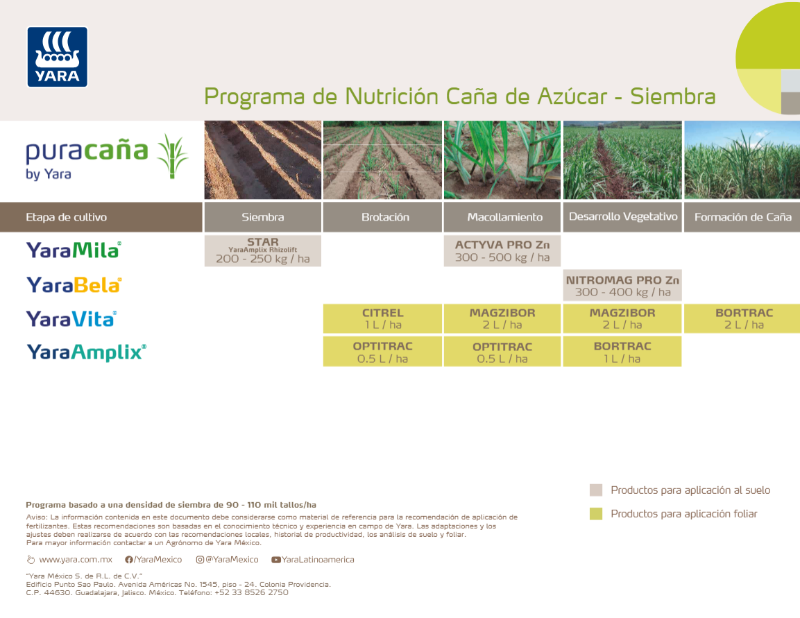 Programa de Nutrición Caña