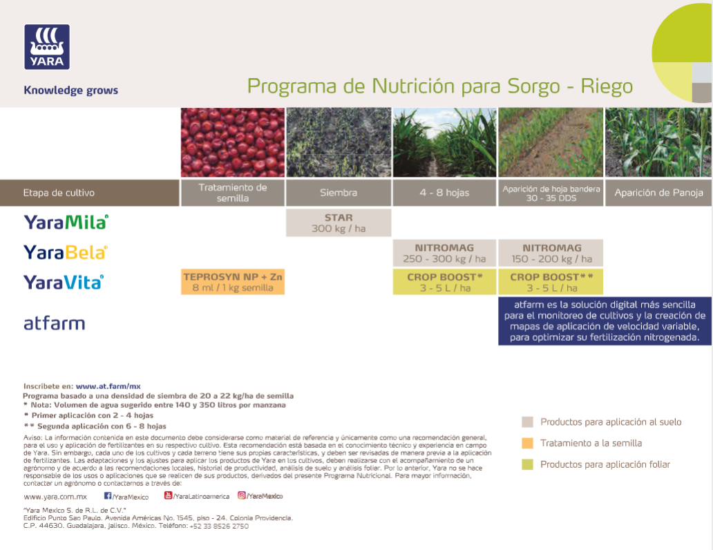 Programa sorgo